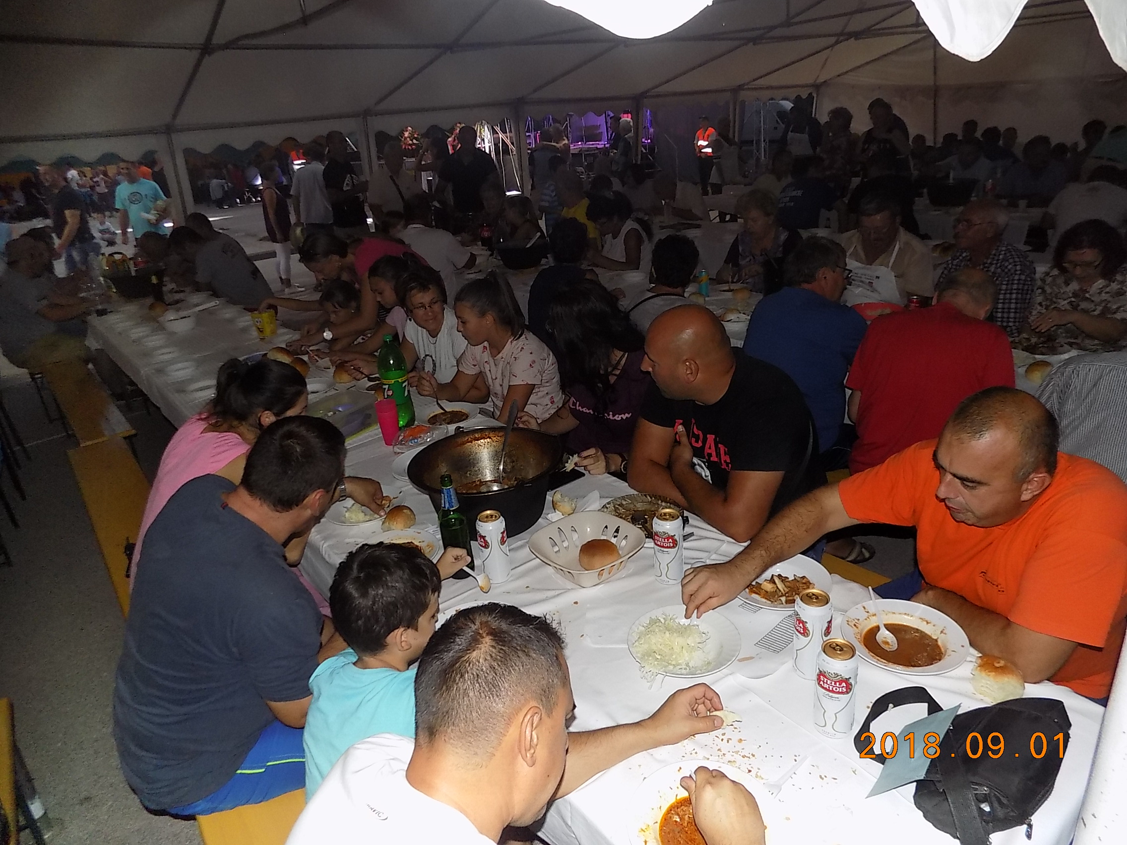 DSCN6394